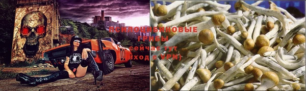 меф Киреевск