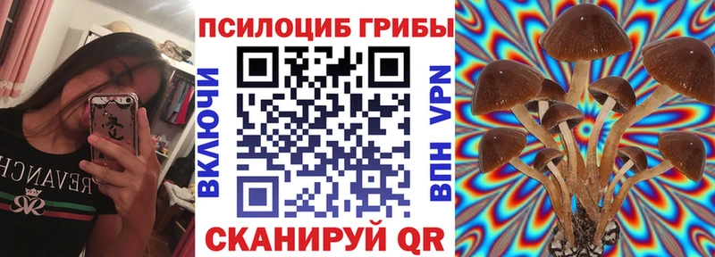 Купить закладки  Благодарный  Псилоцибиновые грибы GOLDEN TEACHER 