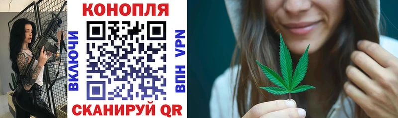 Купить где  Благодарный  Конопля ГИДРОПОН 